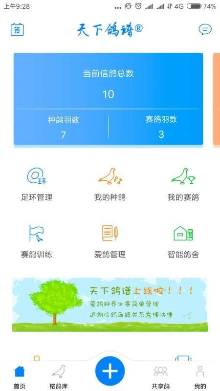 天下鸽谱app下载,天下鸽谱安卓版