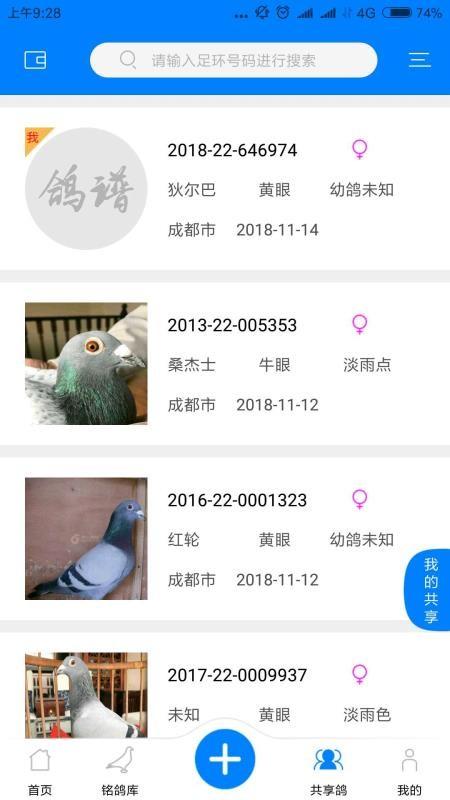 天下鸽谱app下载,天下鸽谱安卓版