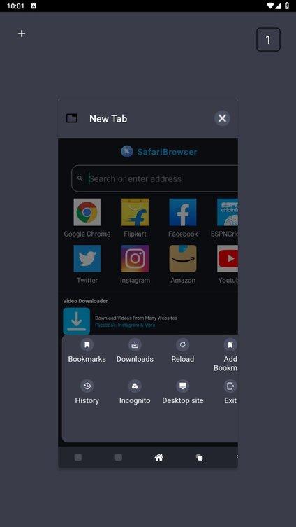 safari浏览器官方版(safari browser)下载,safari浏览器,浏览器app